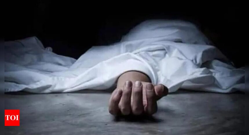 Woman hires hitman to murder daughter but gets killed herself. Here's why