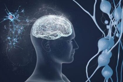 How to reduce the risk of developing dementia