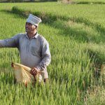 Fertilizer import drops 18% in April-December FY25