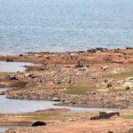 With 86% of India rainfall deficient, storage in key reservoirs down further