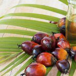 Pricey palm oil may lose market share to soft oils, says Asian Palm Oil Alliance chief