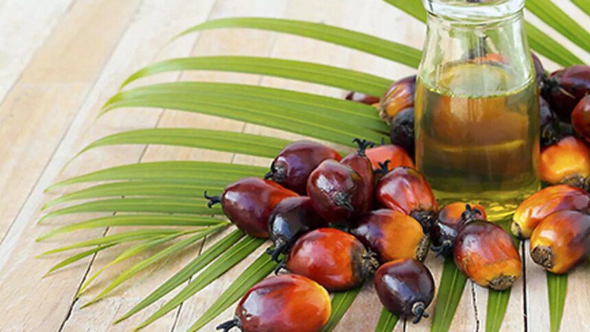Pricey palm oil may lose market share to soft oils, says Asian Palm Oil Alliance chief