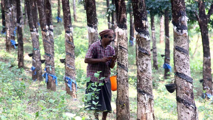 Online rubber trading platform mRube records sales worth ₹512 crore since June 2022