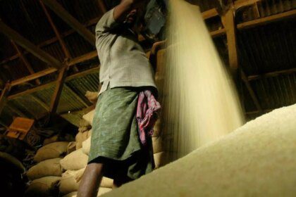 APEDA asks rice exporters to adhere to the EU pesticide residue cap on stem borer insecticide