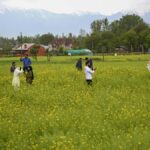 India’s wheat crop may be hit by below-normal rainfall in February, says IMD