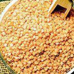 India mulling imposition of Customs duty on masur as imported produce sells cheaper