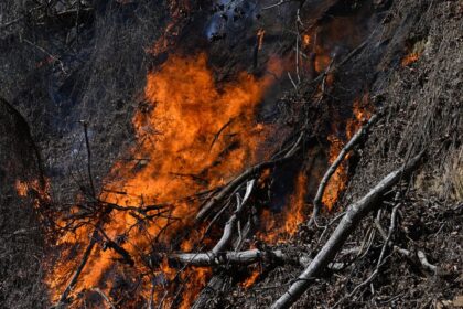 The Extreme Weather Conditions That Drove the Carolina Wildfires