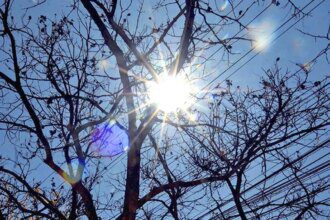 Delhi’s peak summer power demand likely to hit 9,000 MW
