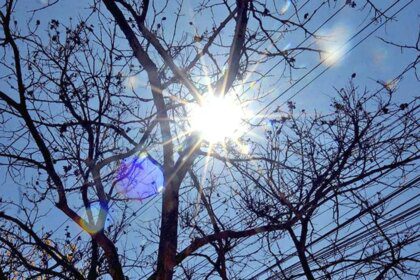 Delhi’s peak summer power demand likely to hit 9,000 MW