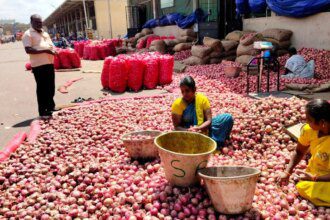 India to scrap 20% onion export duty from April 1