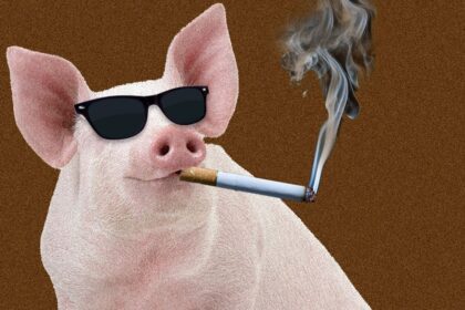 Should You Smoke (Food) Indoors?