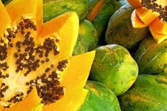 London gets a taste of Odisha’s green papayas