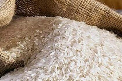 Rejections of non-basmati rice shipments to EU rise despite mandatory ‘certificate’