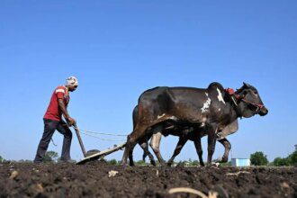 Silent Graves, Forgotten Farmers: Maharashtra’s battle between history and survival