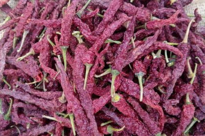 ‘SpiceExtra’ to scale up pan-India, launches Guntur chapter