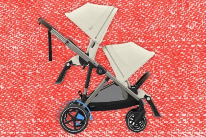 11 Best Strollers for Almost Every Budget and Need (2025)