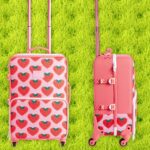 14 Best Carry-On Luggage (2024): Away, Travelpro, and More