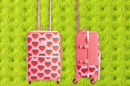 14 Best Carry-On Luggage (2024): Away, Travelpro, and More