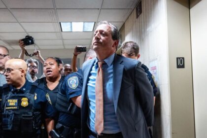 These Are the 15 New York Officials ICE and NYPD Arrested in Manhattan