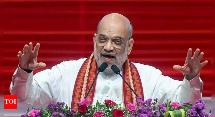 'PM Modi ensured safety of borders':  Amit Shah hails Op Sindoor; what he said about Bihar SIR