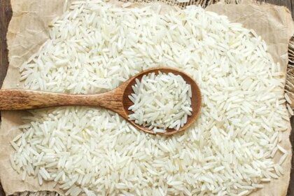 Basmati’s status in danger as seed players flout GI norms in absence of appropriate law