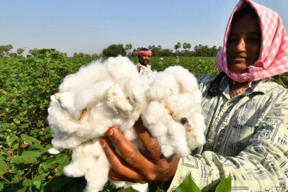 CCI extends bulk discount sale scheme till Sept-end to dispose of stocks