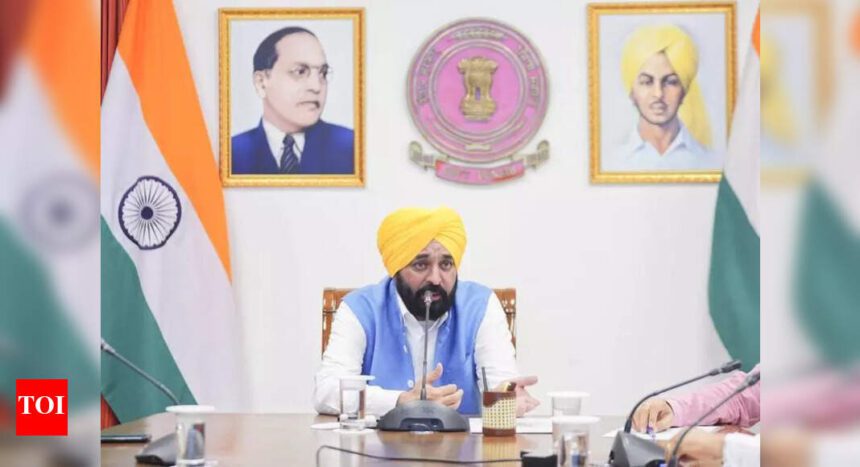 CM Mann launches 'mission Chardi Kala', appeals for support to rebuild Punjab