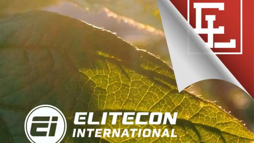 Elitecon International to raise ₹300 cr via QIP