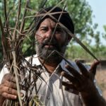 Floods devastate India’s breadbasket of Punjab