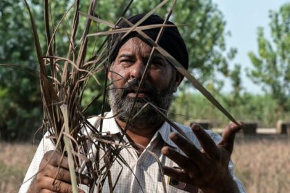 Floods devastate India’s breadbasket of Punjab