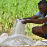 Centre sets Rabi foodgrains production target at 171 million tonnes