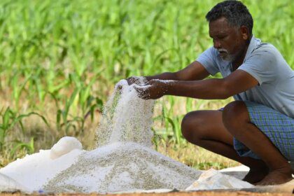Centre sets Rabi foodgrains production target at 171 million tonnes