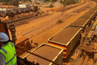 India unlikely to raise export duty soon on low-grade iron ore, pellets, says source