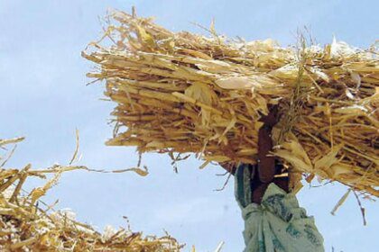 India permits export of second-generation ethanol for fuel and non-fuel purposes