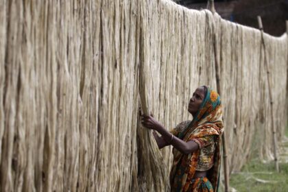 As raw jute prices hit record high, India imposes stock limit for traders, balers, jute mills