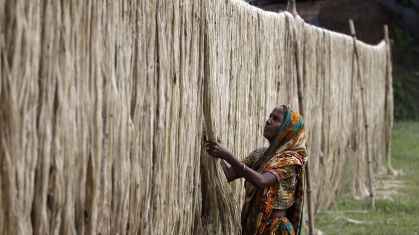 As raw jute prices hit record high, India imposes stock limit for traders, balers, jute mills