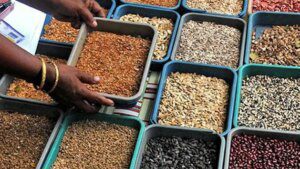 Indian govt approves pulses, oilseeds procurement at support prices in Gujarat and UP