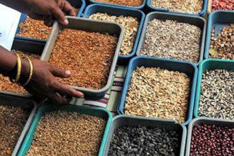 Indian govt approves pulses, oilseeds procurement at support prices in Gujarat and UP