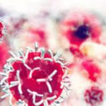 Cancer cases in India up by 26%, deaths 21% since 1990