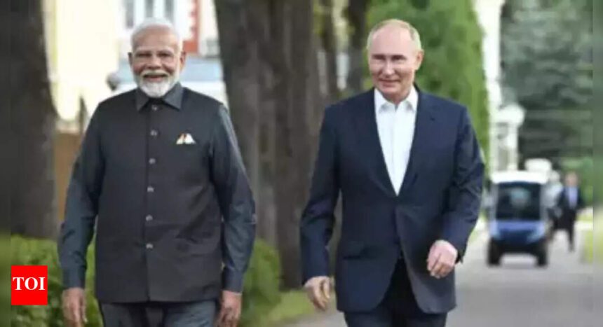'Careless, speculative': MEA says PM Modi didn't call Putin after US tariff move; pans Nato chief's remarks