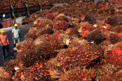 MPOC welcomes EU’s delay of deforestation rules, seeks clarity on compliance