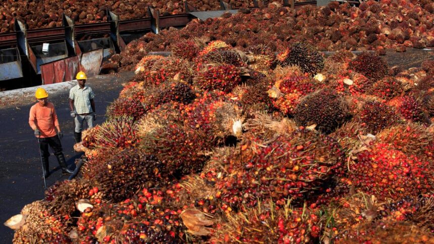 MPOC welcomes EU’s delay of deforestation rules, seeks clarity on compliance