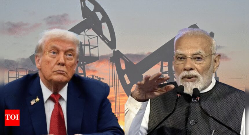 'Delhi now on phone with Moscow': Nato chief claims PM asked Putin to explain strategy on Ukraine; big claim on tariff impact