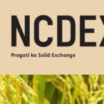 NCDEX get shareholders’ nod for over ₹770 crore fundraiser for equity foray