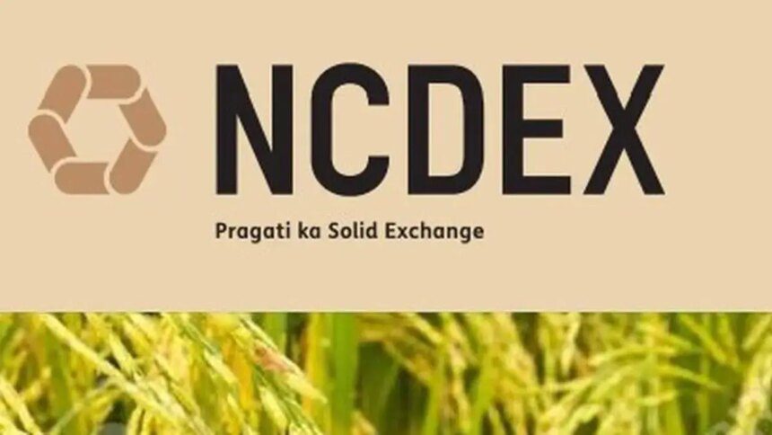 NCDEX get shareholders’ nod for over ₹770 crore fundraiser for equity foray