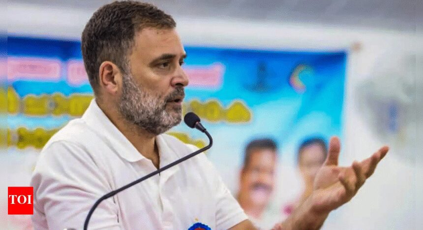 Ladakh's people, traditions under attack, says Rahul Gandhi