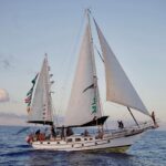 “If you stop the flotilla, we’ll stop classes”: Student collectives across Europe warn