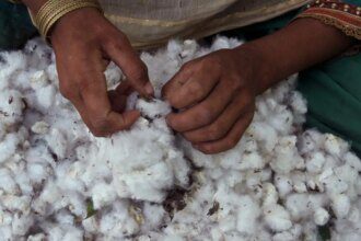 Telangana wants CCI to start cotton procurement from Oct. 1