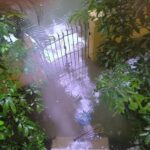 Overnight rain in Kolkata kills at least 7