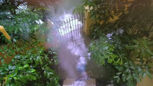 Overnight rain in Kolkata kills at least 7